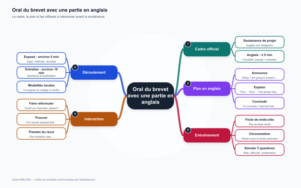 Carte mentale de l'oral du brevet avec une partie en anglais : cadre, déroulement, plan, interaction et entraînement.