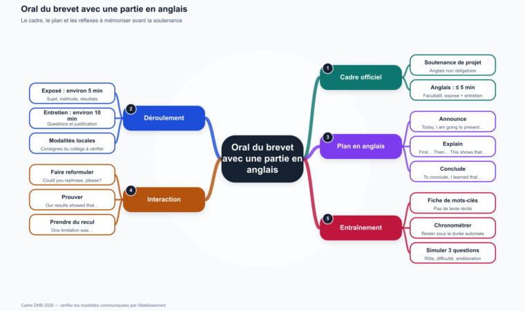 Carte mentale de l'oral du brevet avec une partie en anglais : cadre, déroulement, plan, interaction et entraînement.