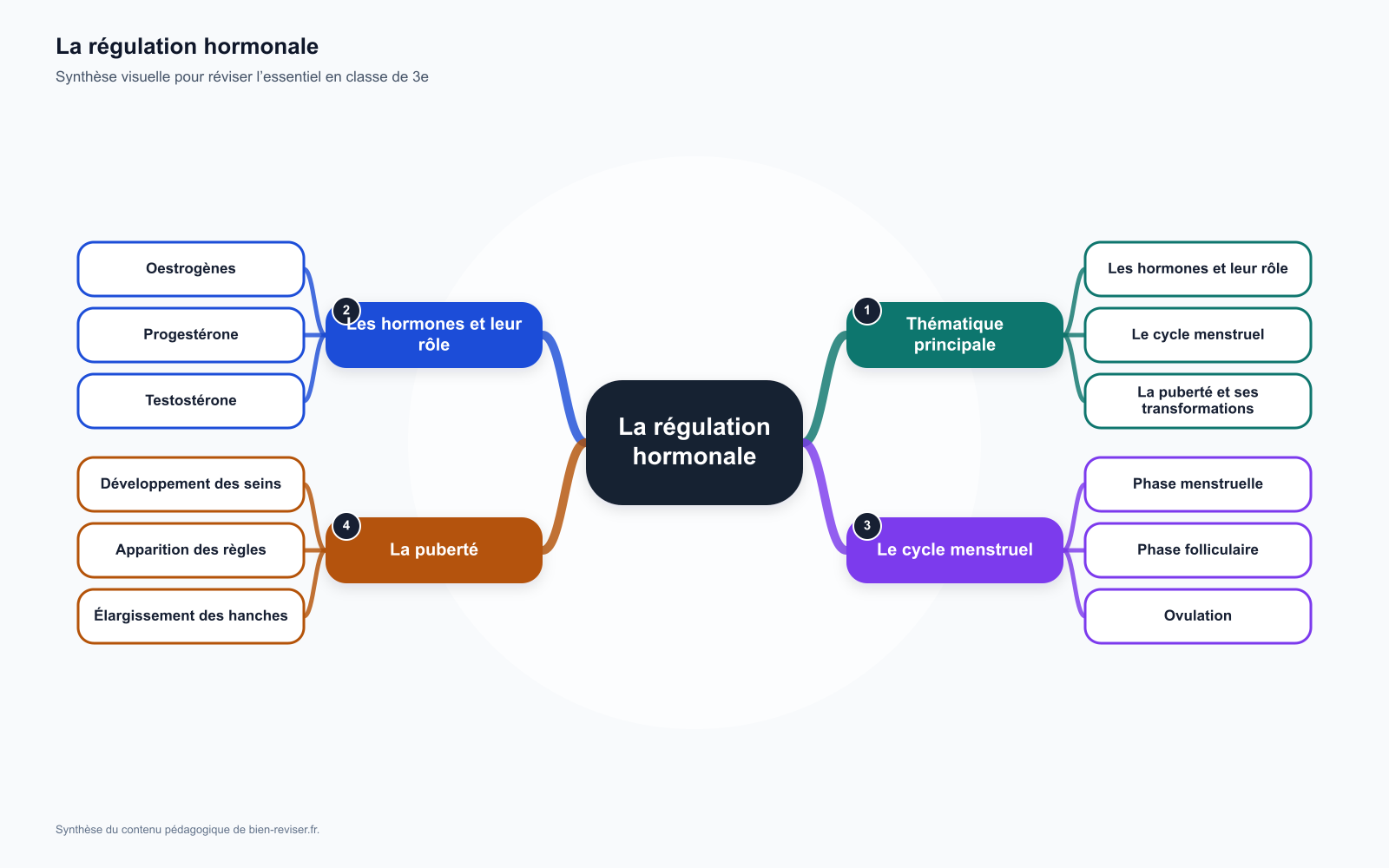 Carte mentale de 3e : La régulation hormonale : cycles menstruels et puberté