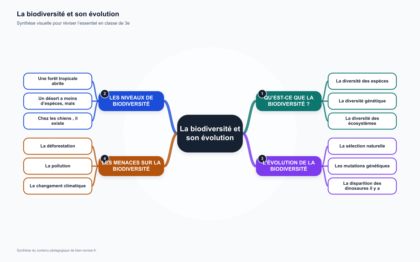 Carte mentale de 3e : La biodiversité et son évolution