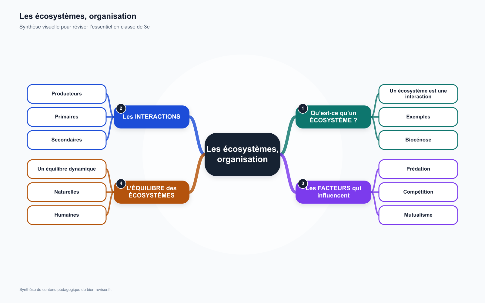 Carte mentale de 3e : Les écosystèmes, organisation et interactions de la matière