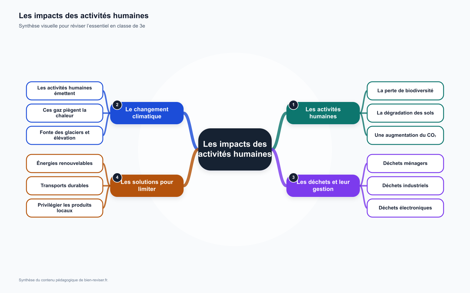 Carte mentale de 3e : Les impacts des activités humaines sur l’environnement