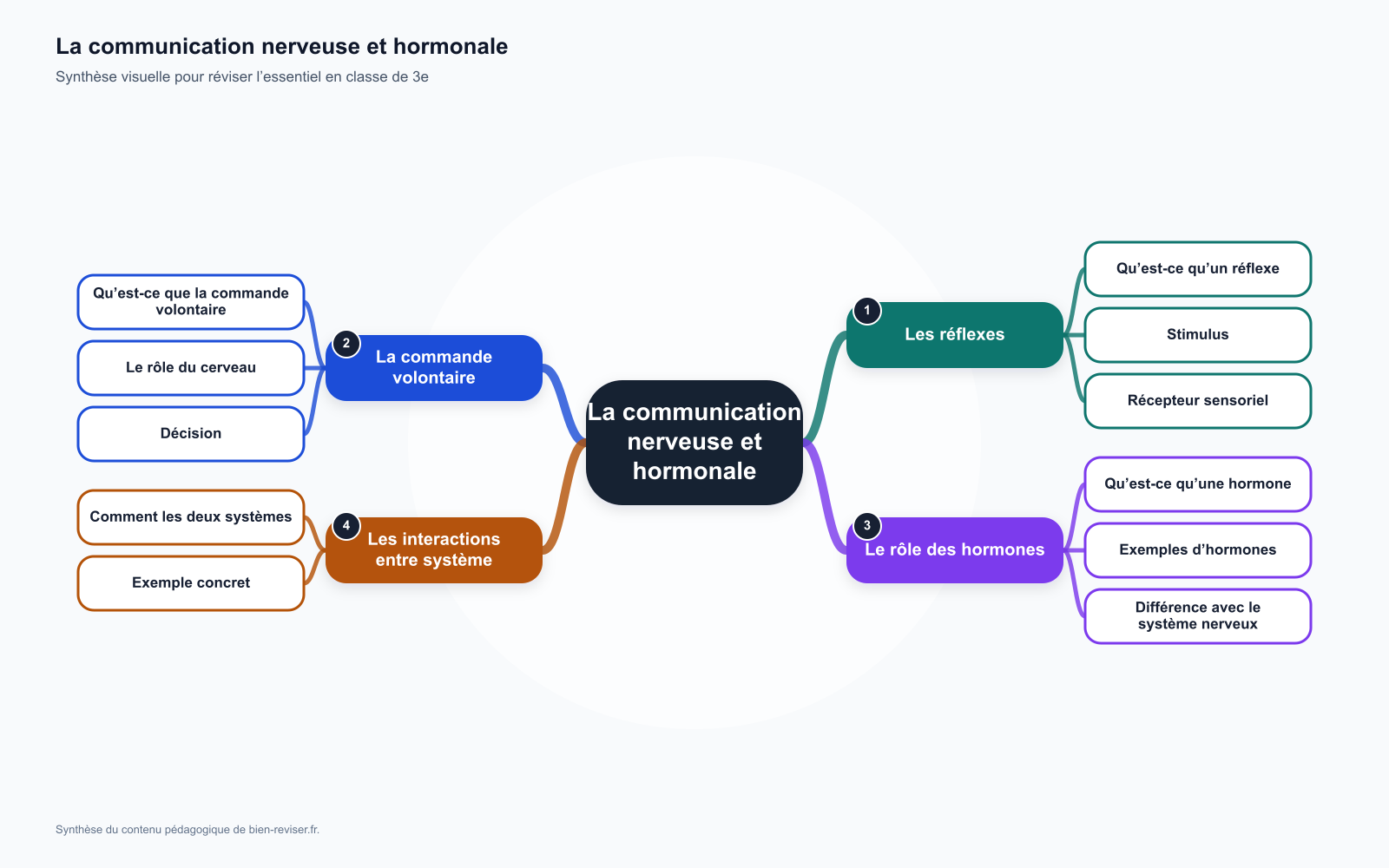 Carte mentale de 3e : La communication nerveuse et hormonale : réflexes et commande volontaire