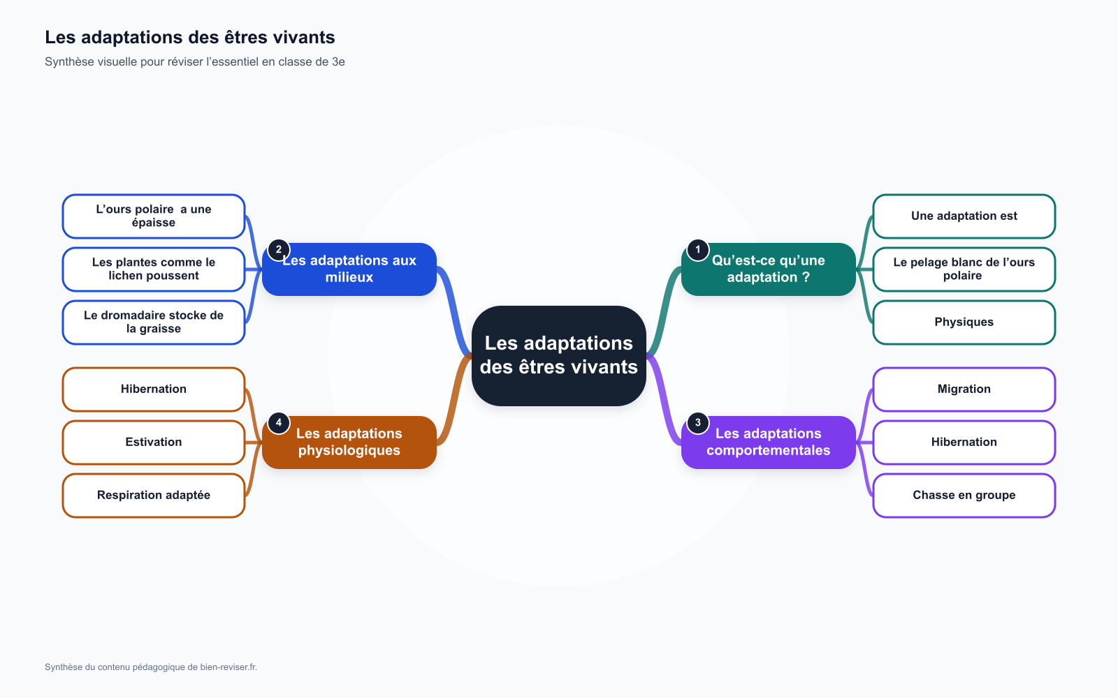Carte mentale de 3e : Les adaptations des êtres vivants aux conditions du milieu