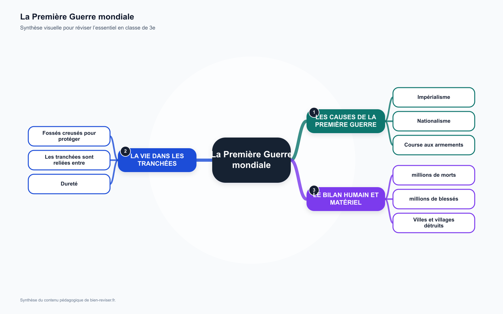 Carte mentale de 3e : La Première Guerre mondiale (causes, tranchées, bilan humain)
