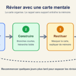 Cycle de révision avec une carte mentale : sélectionner, construire, restituer sans regarder puis corriger
