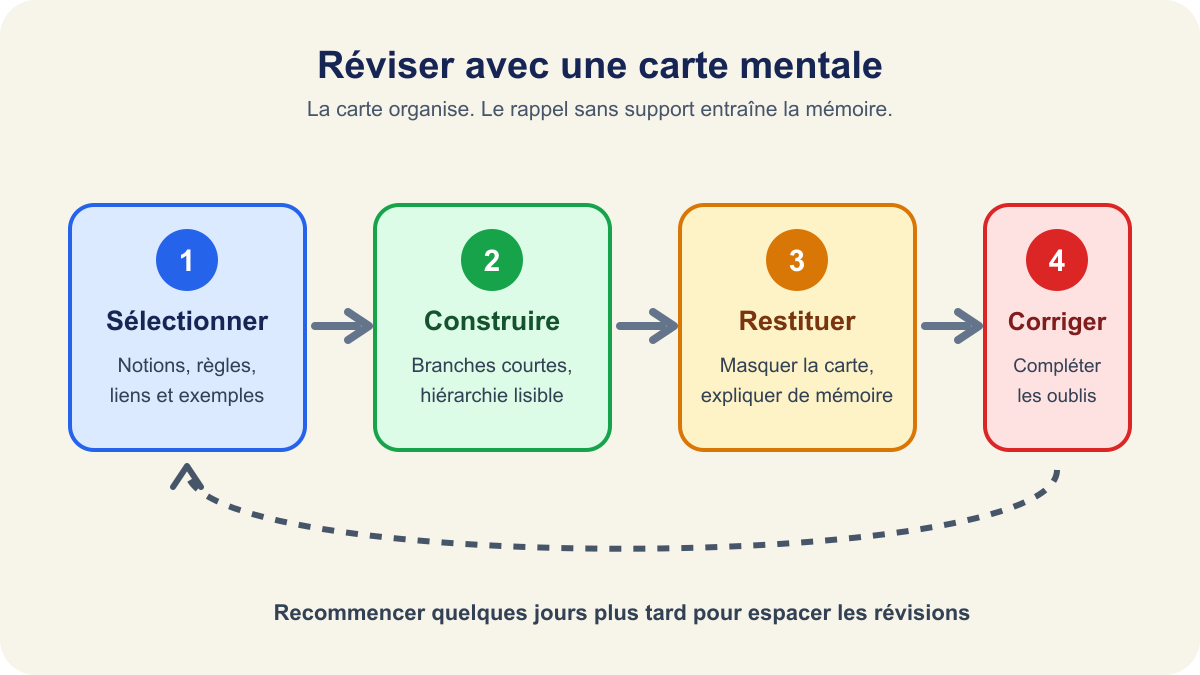 Méthode de mémorisation avec une carte mentale en quatre étapes : sélectionner, construire, restituer et corriger