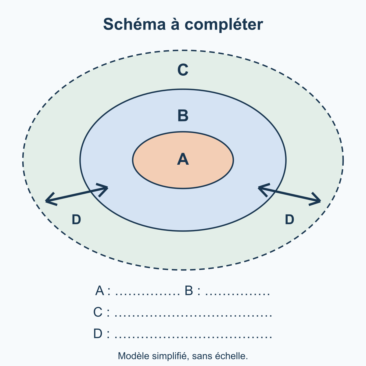 Schéma simplifié avec trois zones emboîtées repérées A, B et C et deux doubles flèches repérées D.